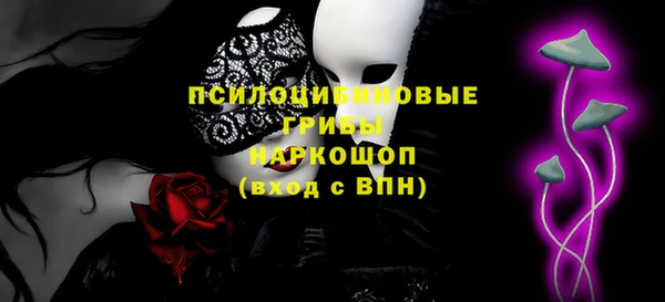 дурь Пересвет