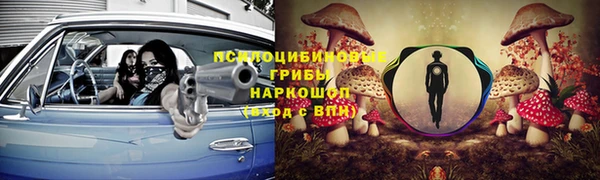 дурь Пересвет